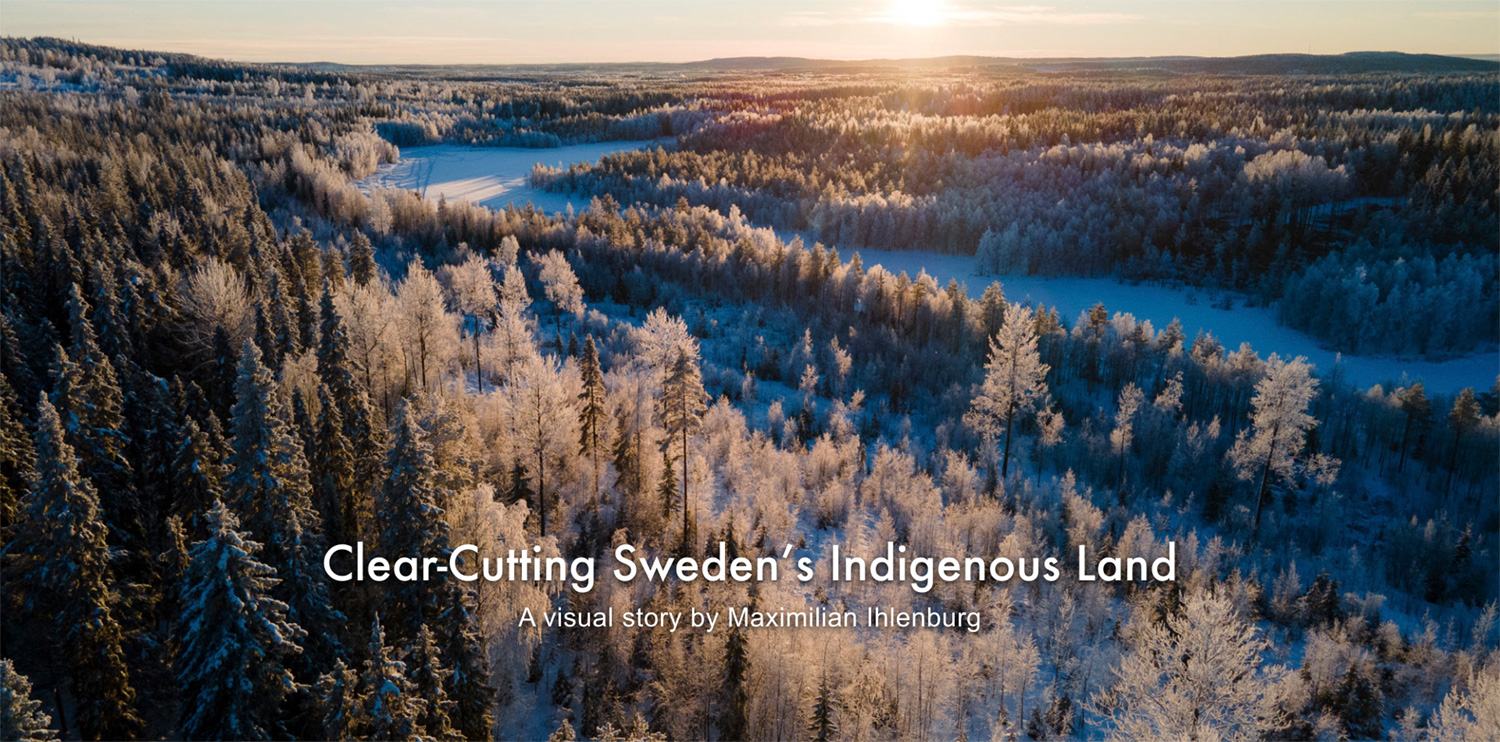 Clear-Cutting Sweden’s Indigenous Land