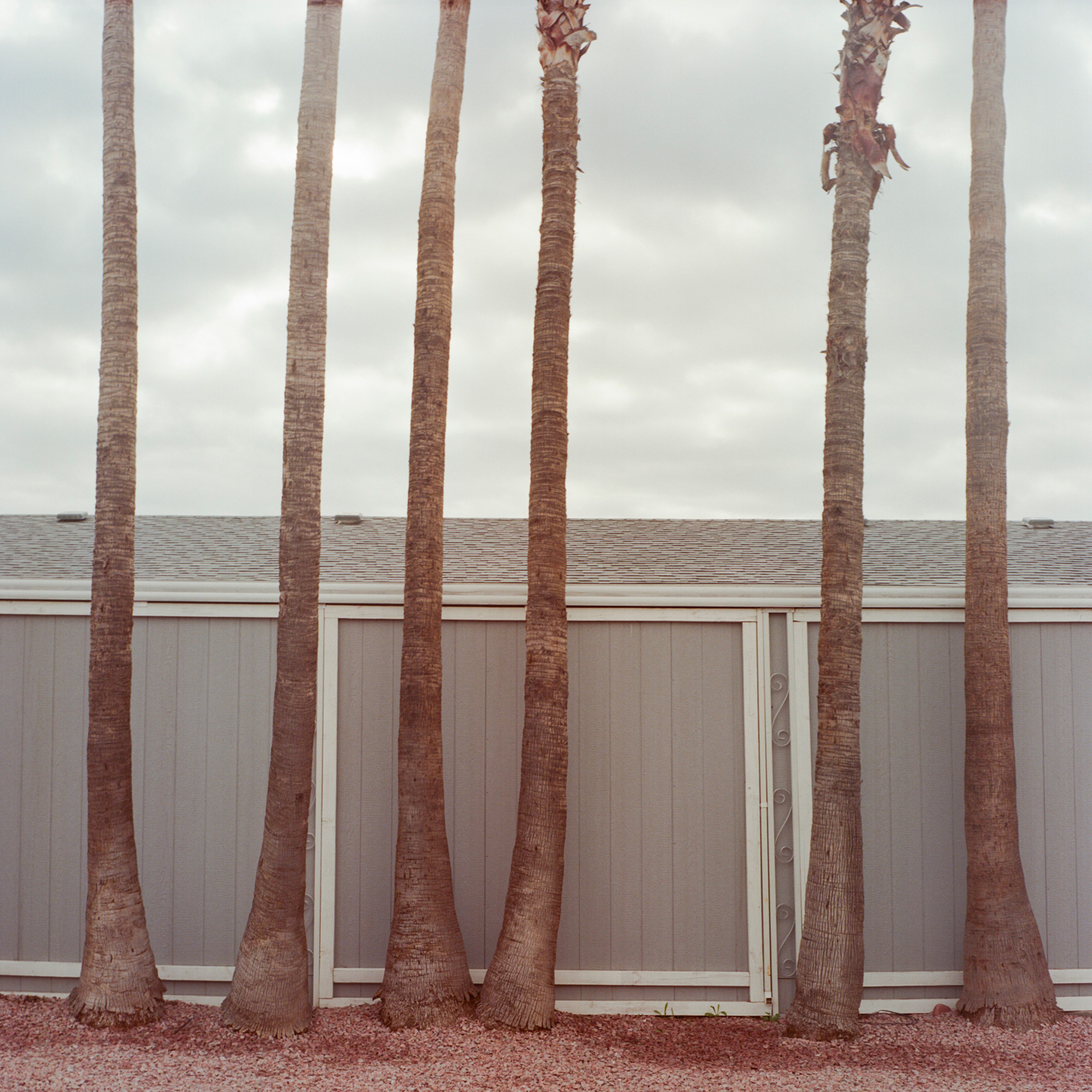 Gray sky